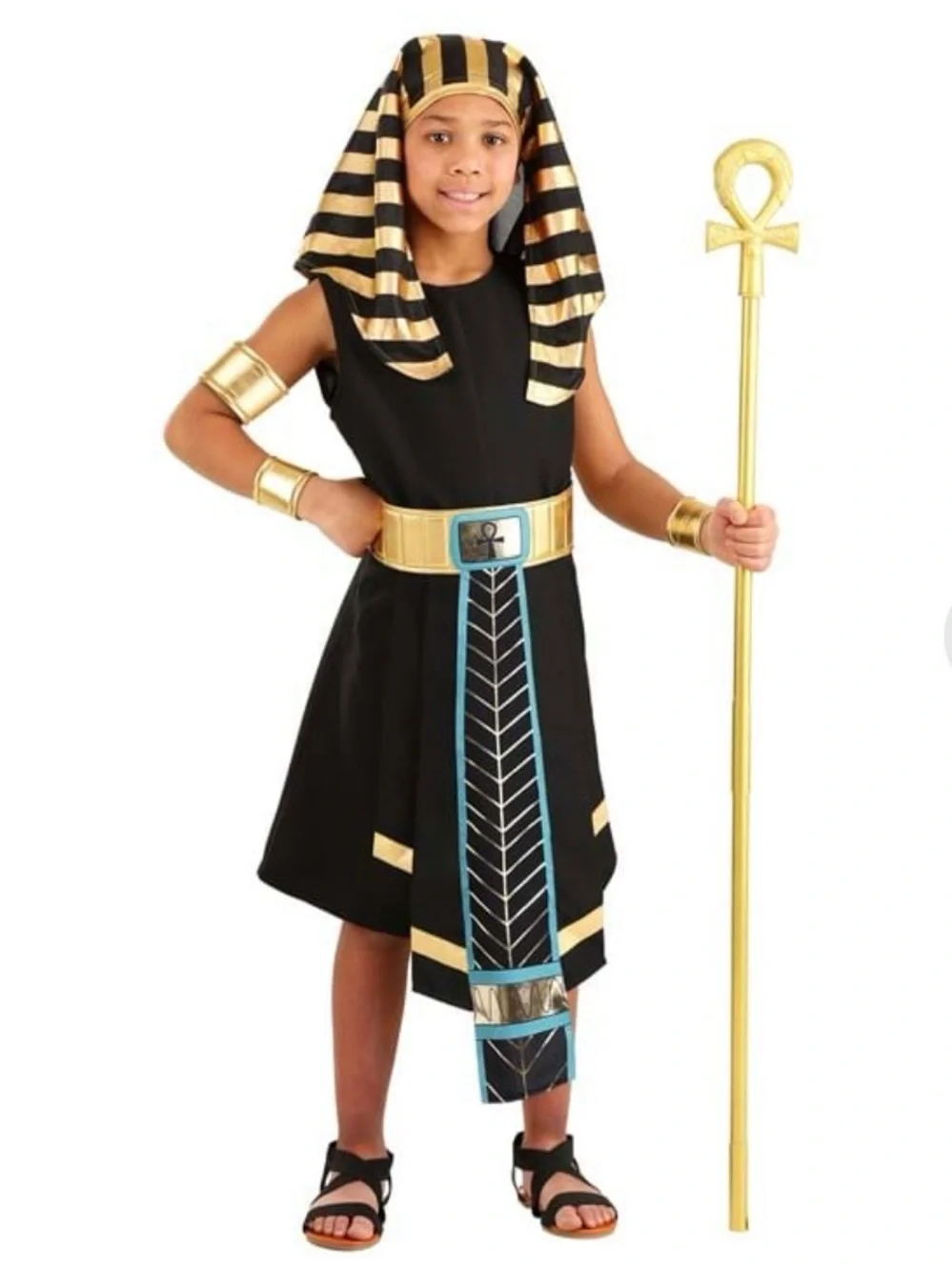 Dark Pharaoh Kid's Costume, Kids size Large, No arm cuffs & Staff in package.